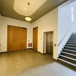 Berringer, Seestern, direkt an der Promenade